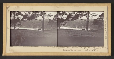 View from the Grounds of Mr. Freundt, Mendocino